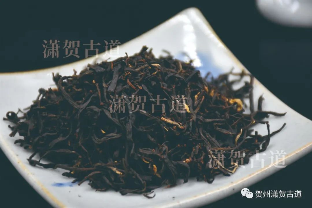 16969063519755.jpg 16969063519755.jpg