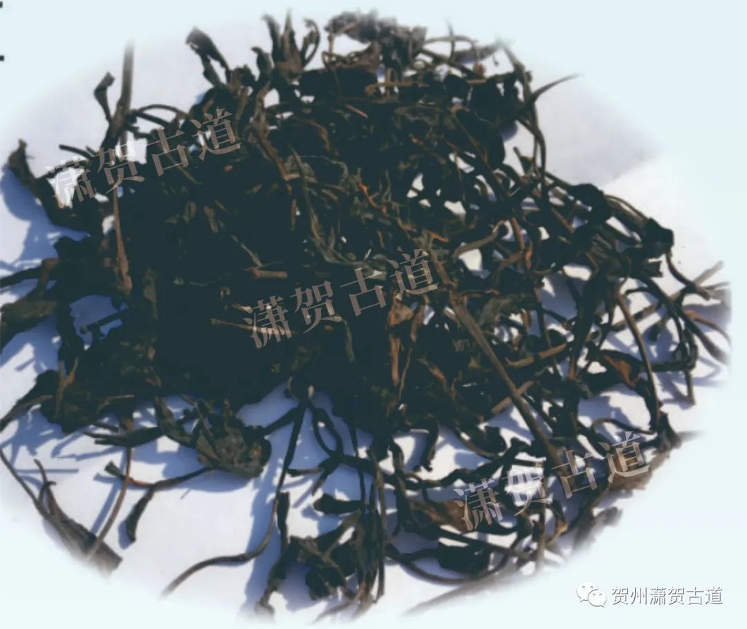 16969066741410.jpg 16969066741410.jpg