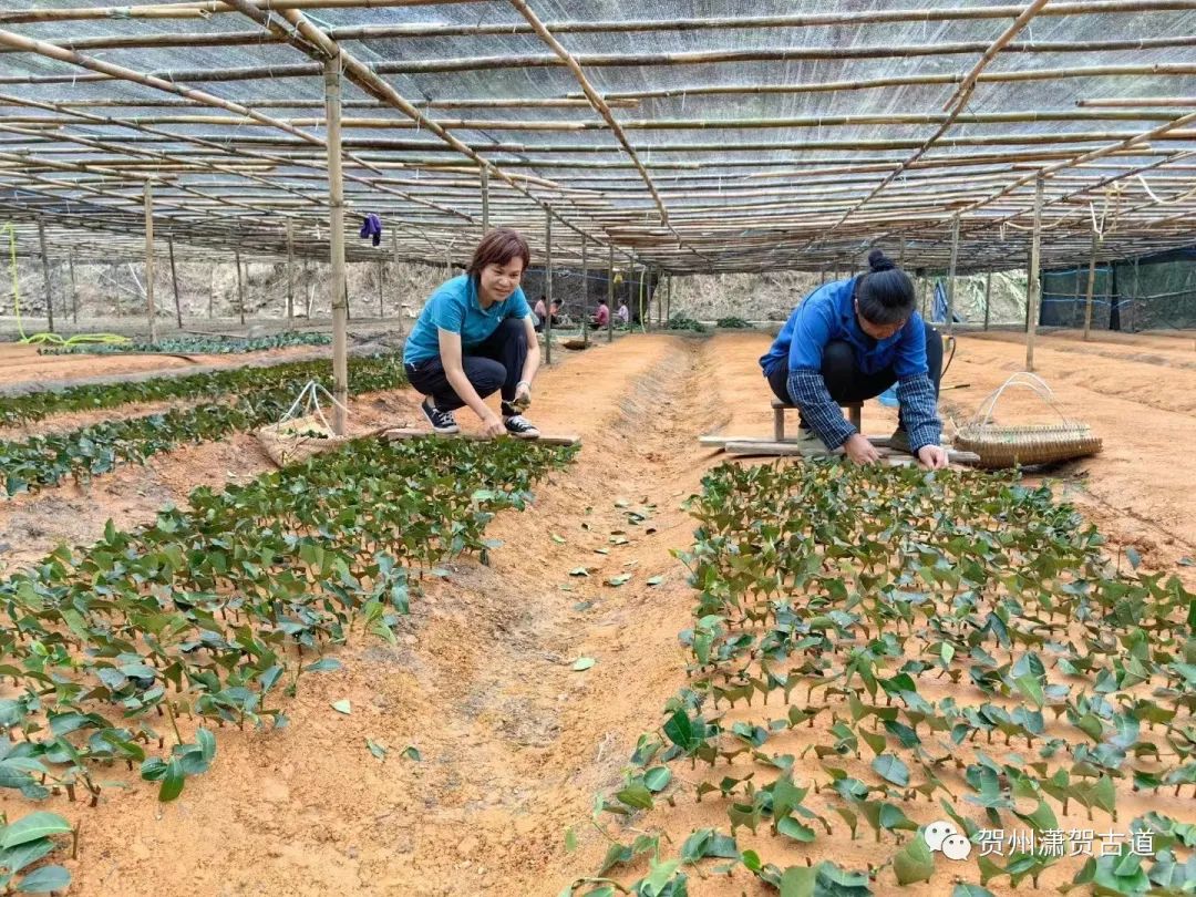 17024382877766.jpg 640 (6).jpg