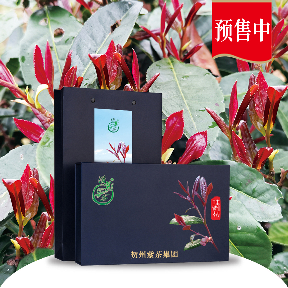 桂紫茶小禮盒