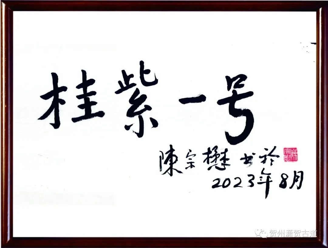 17510132509998.jpg 17510132509998.jpg