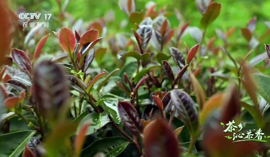 17510137468468.jpg 17510137468468.jpg