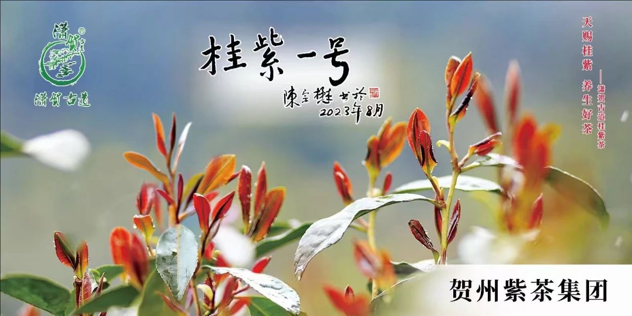 17510142212103.jpg 17510142212103.jpg